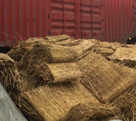 宁夏手机看片91AV 宁夏手机看片91AV