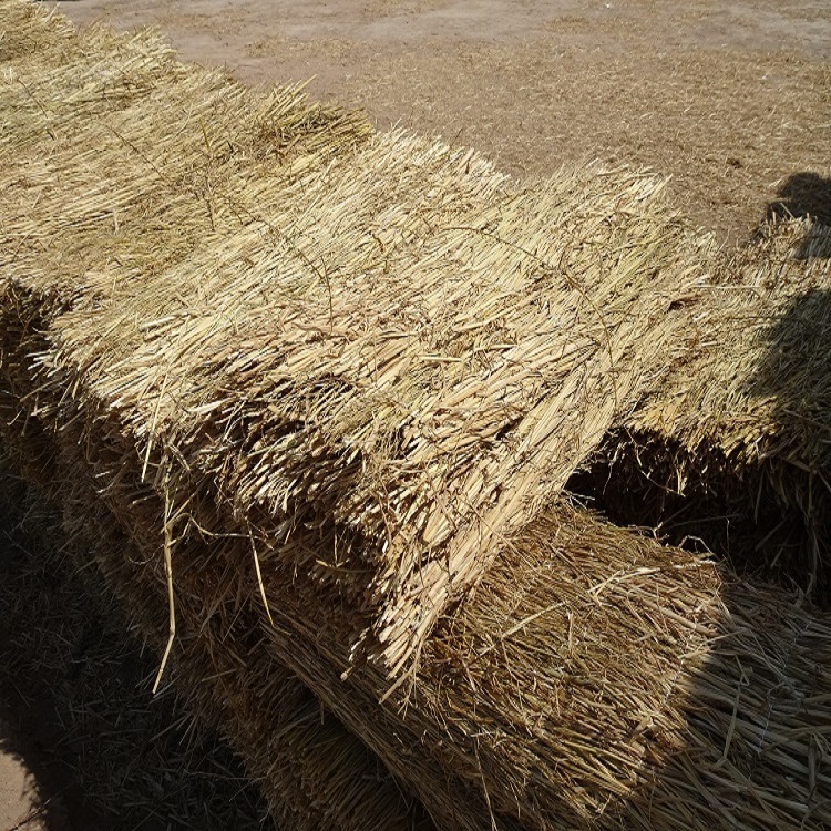 宁夏手机看片91AV厂家批发 宁夏手机看片91AV厂家批发