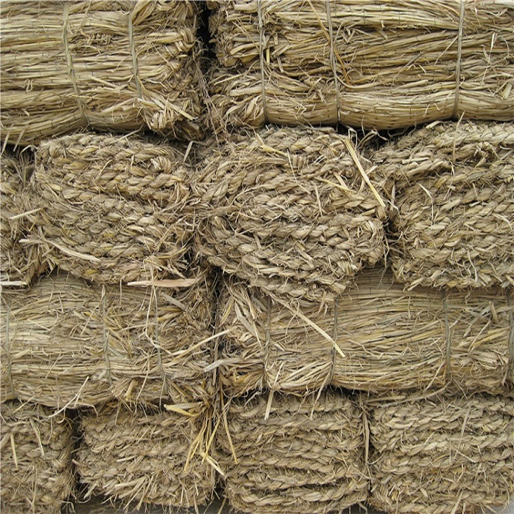 宁夏手机看片成人厂家 宁夏手机看片成人厂家