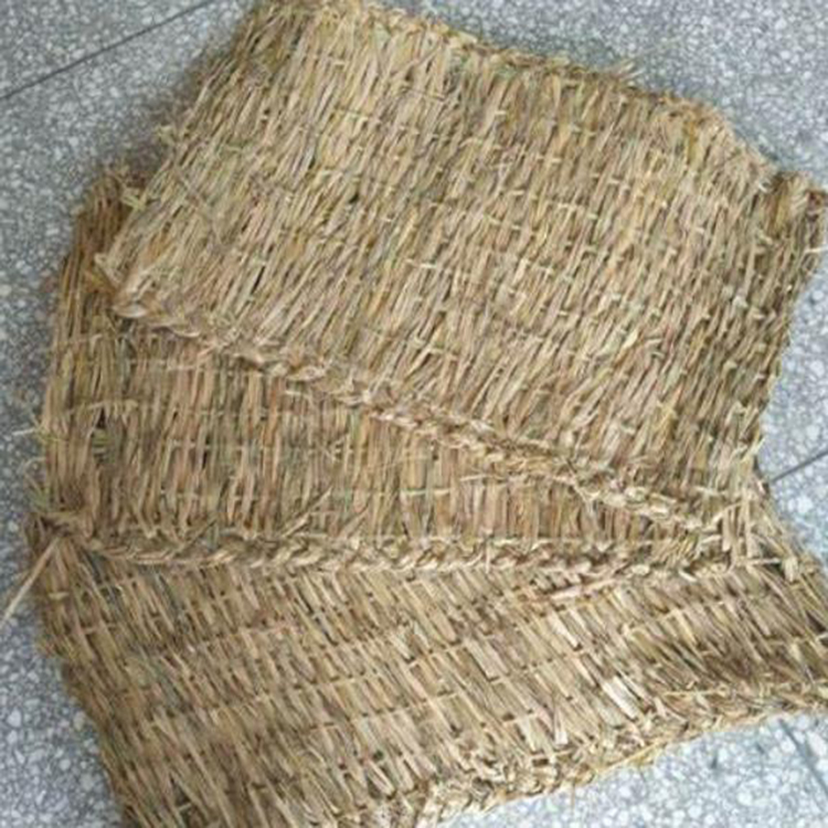 宁夏手机看片成人厂家哪家好